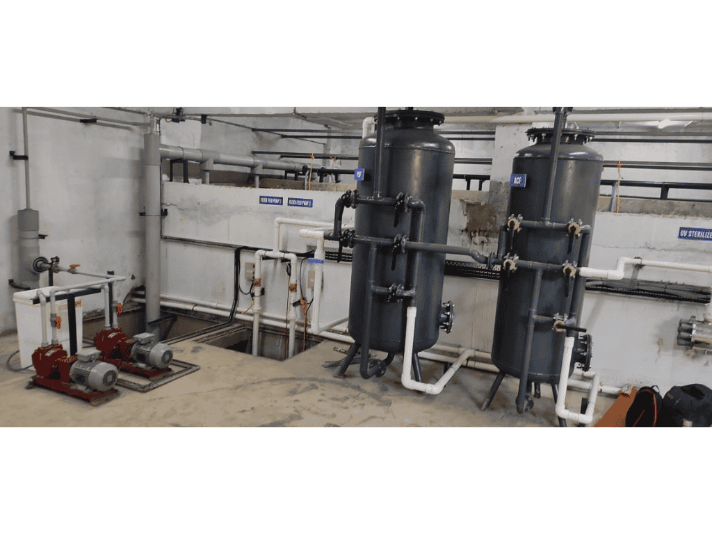 Untitled design (20)